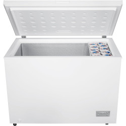 Congélateur coffre BEKO CF316EWN