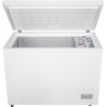 Congélateur coffre BEKO CF316EWN