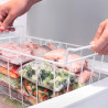 Cecotec congélateur coffre 249l bolero coolmarket chest 249p blanc e. panier avec poignées, contrôle électronique led, ultracont