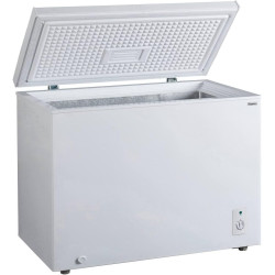 Congélateur coffre blanc 290 L CCO300BD