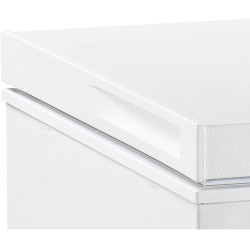Congélateur coffre blanc 290 L CCO300BD