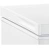 Congélateur coffre blanc 290 L CCO300BD
