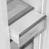Congélateur Armoire 60cm 276l Nofrost Blanc - H4F272WEH1