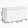 Congélateur Coffre 550L (488L Net) – Température -18 à -22°C – Porte Pleine Battante avec Serrure – LED Intérieur – Thermostat R