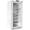METRO Professional Congélateur à Porte Vitrée GFR6600G, 380 L, blanc