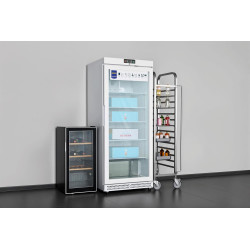 METRO Professional Congélateur à Porte Vitrée GFR6600G, 380 L, blanc