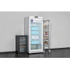 METRO Professional Congélateur à Porte Vitrée GFR6600G, 380 L, blanc