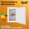 LORD F4 Congélateur armoire 87 L, NoFrost, 37 dB, classe C, 4,4 kg/24h, 3 tiroirs, compresseur Inverter BLDC, porte réversible, 