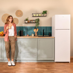 Cecotec réfrigérateur à deux portes bolero coolmarket 2d 261 blanc e. 261 l, classe e, dégivrage manuel, congélation ultra-rapid