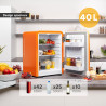 TZS First Austria - Mini Réfrigérateur Rétro 40L silencieux - Petit Minifrigo design vintage avec lumière intérieure et 2 compar