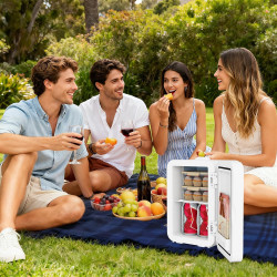 YU YUSING Mini Frigo Cosmetique 8L avec Miroir LED, Mini Réfrigérateurs Portable, Petit Frigo de Chambre 12V/220V avec Fonction 