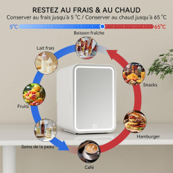YU YUSING Mini Frigo Cosmetique 8L avec Miroir LED, Mini Réfrigérateurs Portable, Petit Frigo de Chambre 12V/220V avec Fonction 
