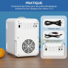 YU YUSING Mini Frigo Cosmetique 8L avec Miroir LED, Mini Réfrigérateurs Portable, Petit Frigo de Chambre 12V/220V avec Fonction 