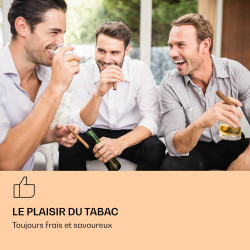 Klarstein El Presidente Cave à Cigares - Humidor Thermoélectrique avec Porte Vitrée, Clayettes en Bois de Cèdre, Hygromètre, Écl