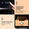 Klarstein El Presidente Cave à Cigares - Humidor Thermoélectrique avec Porte Vitrée, Clayettes en Bois de Cèdre, Hygromètre, Écl