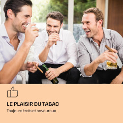 Klarstein El Presidente Cave à Cigares - Humidor Thermoélectrique avec Porte Vitrée, Clayettes en Bois de Cèdre, Hygromètre, Écl