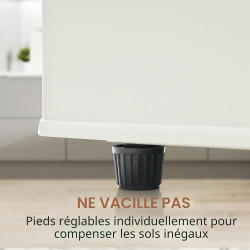 Merax Réfrigérateur à deux portes 92 litres - Congélateur 28 l - 105,5 cm de hauteur - LED - Étagères en verre réglables - 116 k