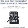 Integral 256GB microSD Card Haute Vitesse Carte Mémoire Vidéo 4K – Jusqu'à 100MB/s en lecture et 50MB/s en écriture, UHS-I, U3, 