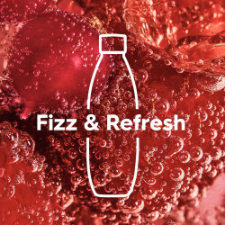 sodastream Fuse Lot de 2 Bouteilles Réutilisables 1L Sans BPA | Noires