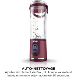 Ninja Blast Blender portable, 530 ml, couvercle résistant aux fuites et bec verseur, mini blender sans fil puissant, rechargeabl