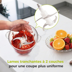 YASHE Hachoir Électrique 1,8L+2L, Robot de Cuisine avec Récipients en Verre et en Acier Inoxydable, Hachoir à Viande 500W à 2 Vi