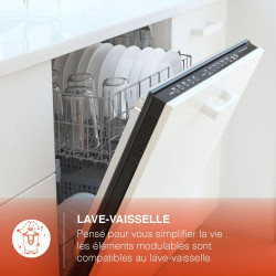 H.Koenig Presse agrumes électrique professionnel à levier AGR86, inox, 160W puissant, bec anti-gouttes, compatible lave-vaissell