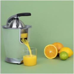 H.Koenig Presse-agrumes électrique professionnel à levier AGR88, inox, 160W puissant, bec anti-gouttes, compatible lave-vaissell