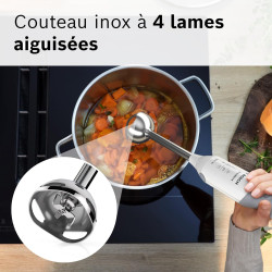 Bosch MSM66110 ErgoMixx - Mixeur plongeant, 2 vitesses