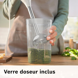 Bosch MSM66110 ErgoMixx - Mixeur plongeant, 2 vitesses