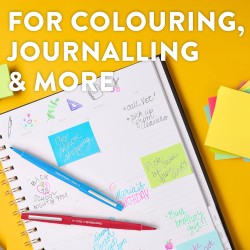 Stylos feutres Paper Mate Flair | Feutres de coloriage sans fuite à pointe moyenne (0,7 mm) | Encre noire | Idéal pour écrirescr