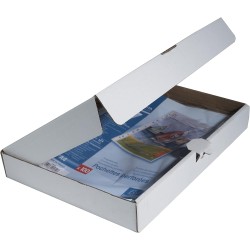 Exacompta - Réf. 5800E - Boîte de 100 pochettes perforées en Polypropylène lisse - Epaisseur 6/100ème - Ouverture haut et côté -