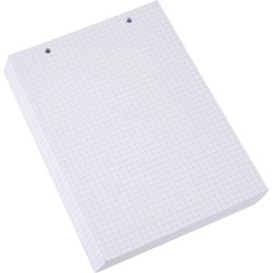 Exacompta - Réf. 10608E - Paquet de 100 fiches bristol quadrillées 5x5 perforées - sous film - compatibles avec imprimante jet d