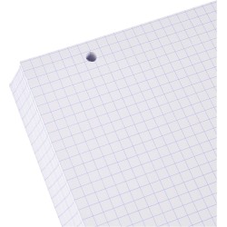 Exacompta - Réf. 10608E - Paquet de 100 fiches bristol quadrillées 5x5 perforées - sous film - compatibles avec imprimante jet d