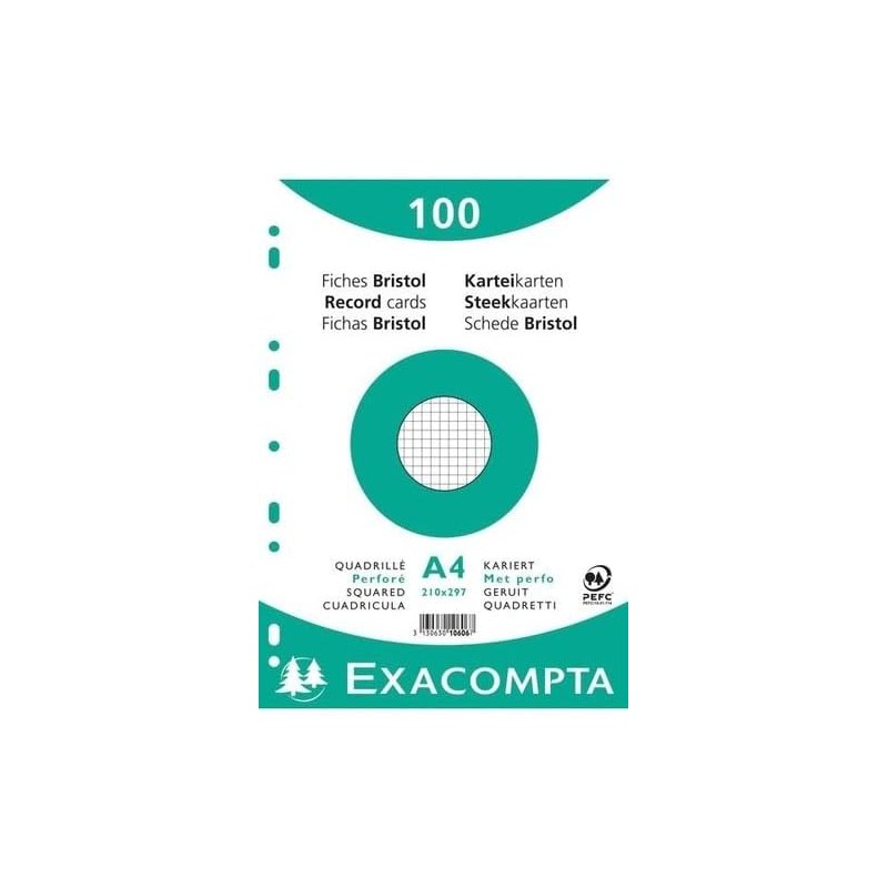 Exacompta - Réf. 10606E - Carton de 10 paquets de 100 fiches bristol quadrillées 5x5 perforées - sous film - compatibles avec im
