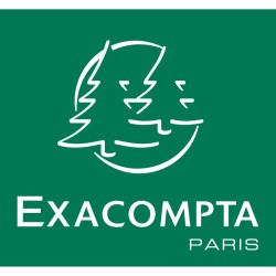 Exacompta - Réf. 40991E - Lot de 10 bobines pour balance - largeur 76 mm x diamètre 70 mm - mandrin 12 mm - 1 pli thermique 55g/